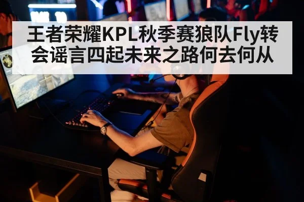 王者荣耀KPL秋季赛狼队Fly转会谣言四起未来之路何去何从