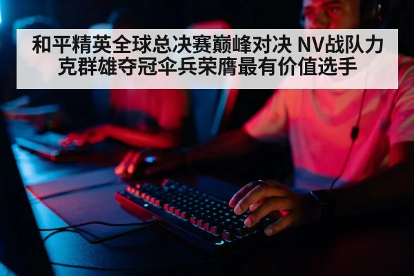 和平精英全球总决赛巅峰对决 NV战队力克群雄夺冠伞兵荣膺最有价值选手